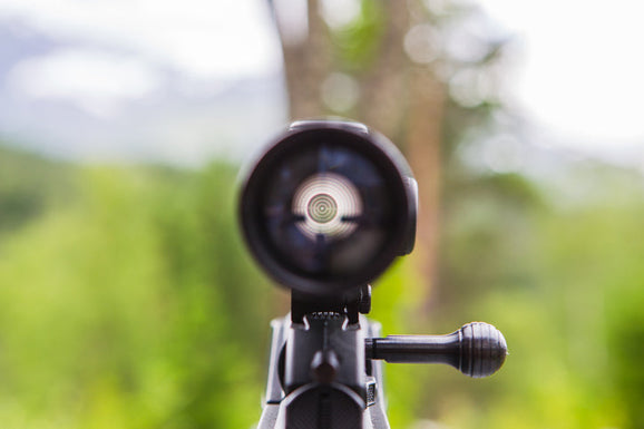 Maintaining Your Weapon Sight and Optics