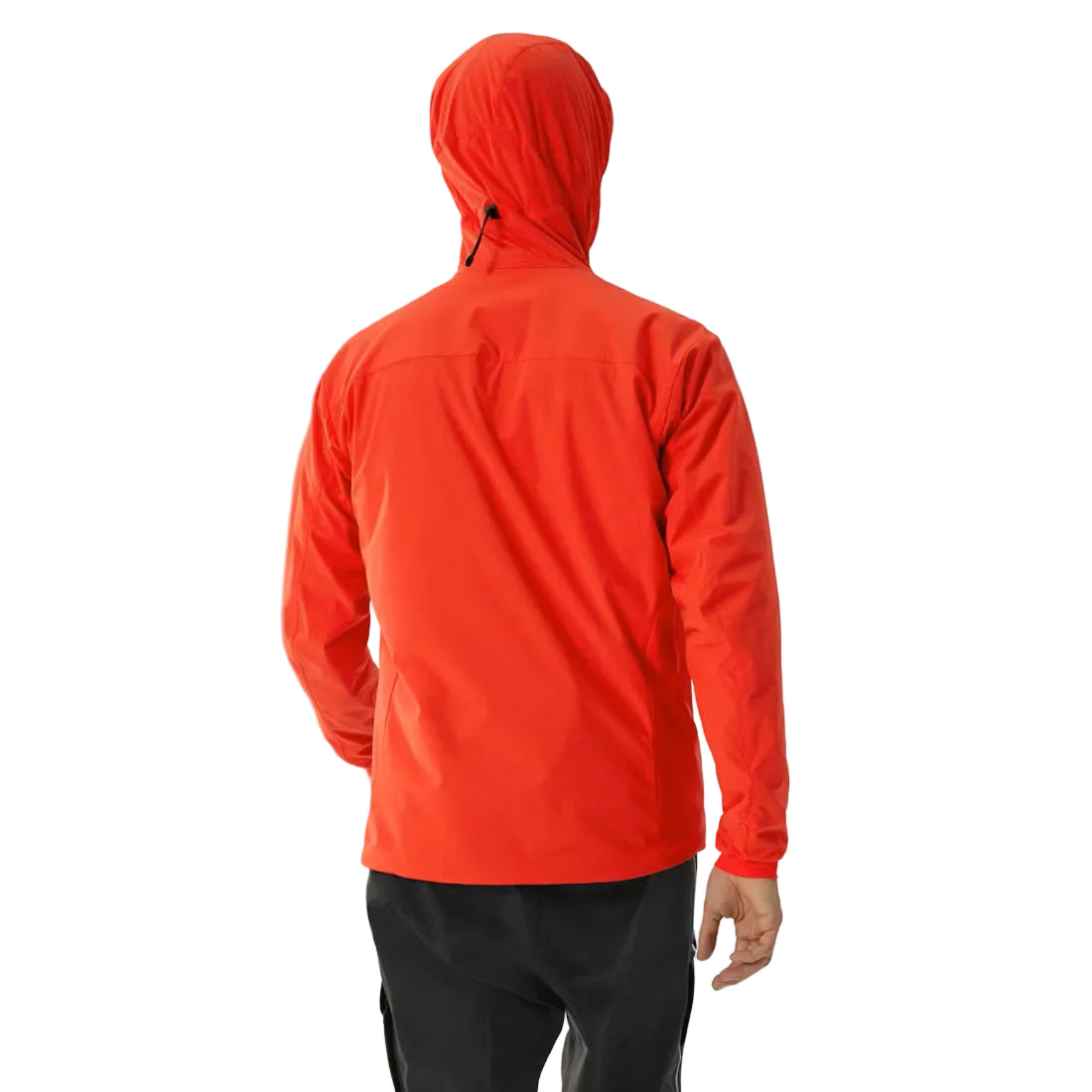 Back view of the Arc'teryx PRO Practitioner AR Hoody in Dynasty highlighting the articulated patterning, drop back hem, and Fortius Air 50 fabric designed for mobility, breathability, and tactical performance in diverse U.S. environments.