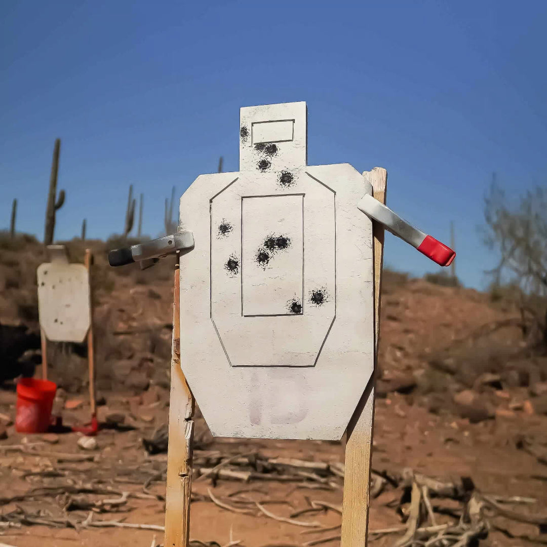 Target with bullet holes in a desert setting