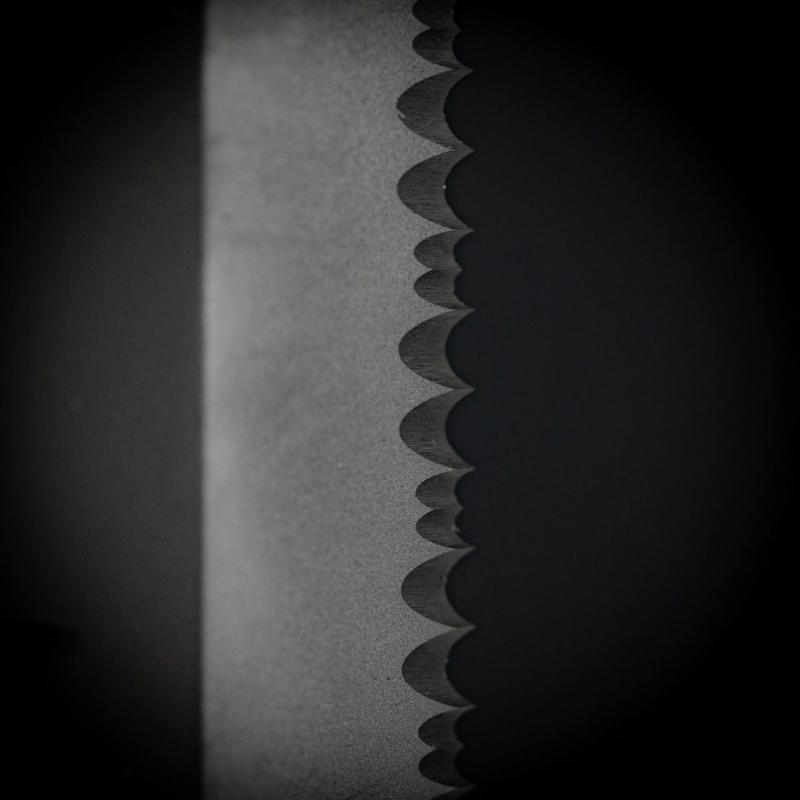 Spine and serration detail of the Dynamis Neptune IWB Kit blade highlighting partial serrations and NEPT-X proprietary coating for extreme corrosion resistance in marine or sweaty environments.