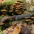 Winkler Knives Shadow Strike with maple plain handle carried on belt during outdoor training session highlighting lightweight fixed blade EDC profile