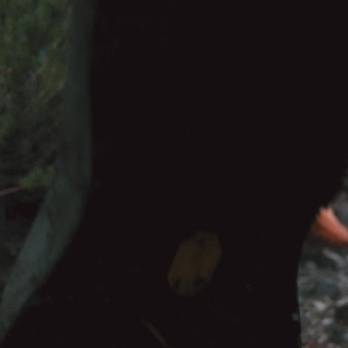 Arc'teryx Norvan LD 4 Trail running Shoes in action. All-terrain shoe. 