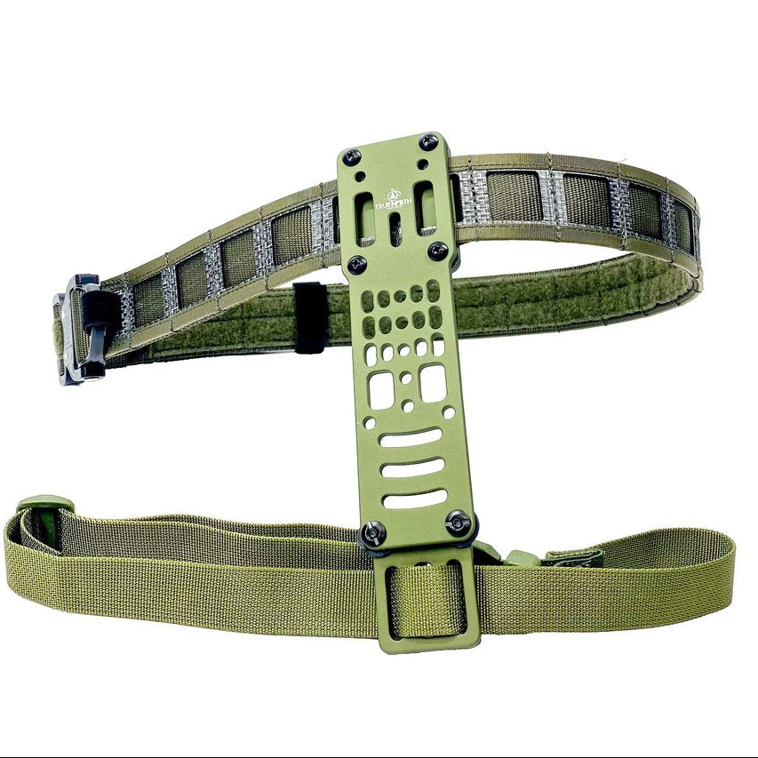 GBRS Group Assaulter Belt System V2 in Ranger Green shown with holster platform and drop leg system attached, laser cut thermopolymer PALS operator gun belt configured with duty holster and tactical load-bearing accessories for professional setups