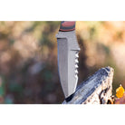 Dynamis Razorback Blade: Serrated Compact Knives & Tools Dynamis Alliance 